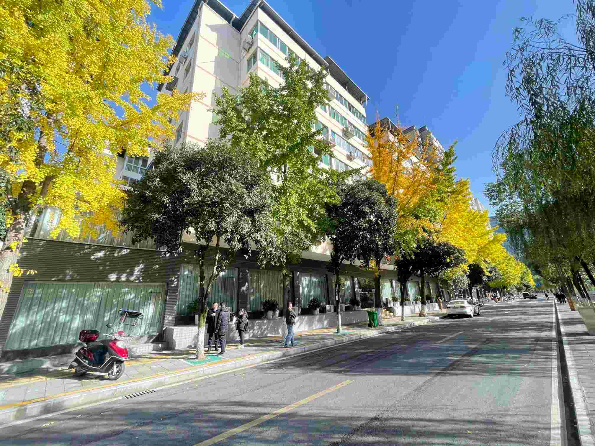 广元市朝天区朝天镇潜溪路二段区政府住宅楼1幢 1-1 号商业用房