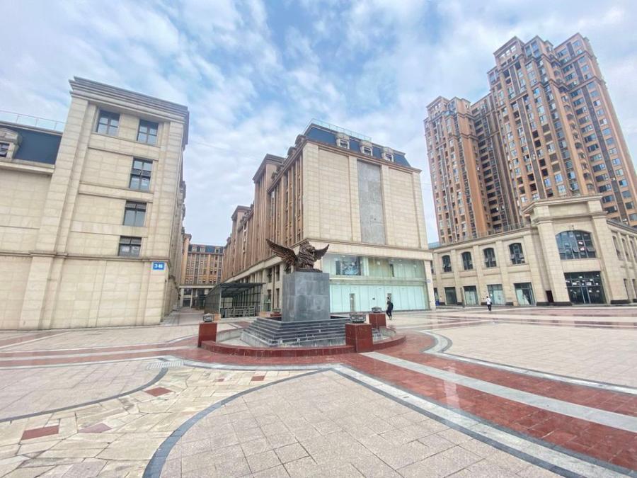 成都市金牛区迎宾大道166号“仁和香榭广场”在建工程802套房产