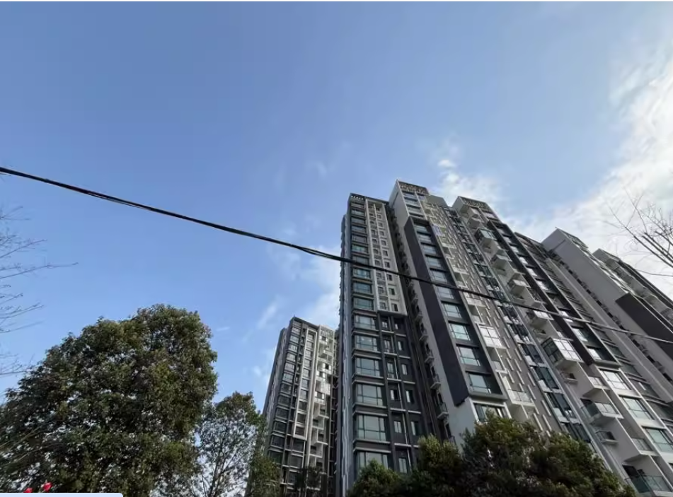 成都市温江区桅杆支路99号8栋2单元1102号住宅用房一套