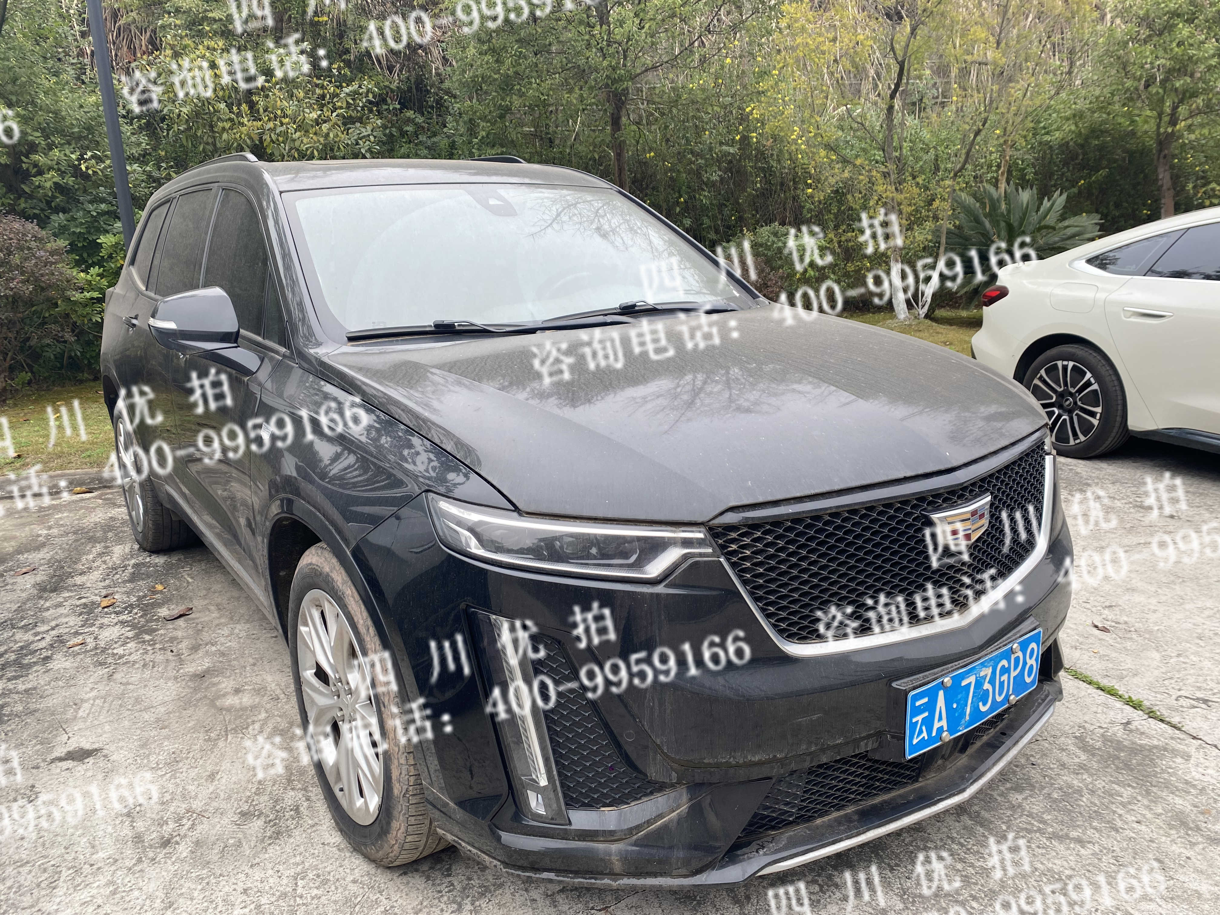 云A73GP8凯迪拉克小型汽车