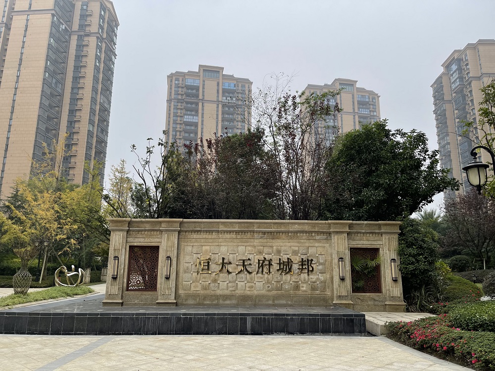 成都市新津区普兴镇骑龙村1组33栋1单元23层2305号房产